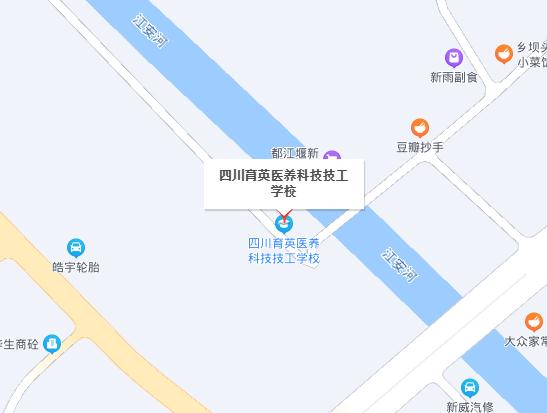 四川育英科技學(xué)校地址在哪里，坐車路線怎么走