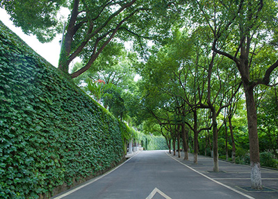 四川烹飪學(xué)院